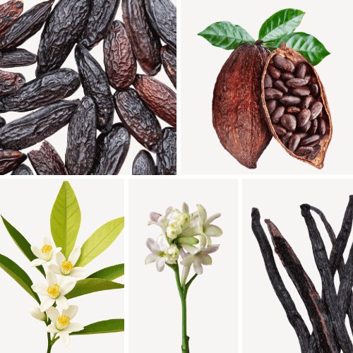 Preview: Duftnoten: Tonkabohne, Kakao, Orangenblüte, Tuberose, Vanille